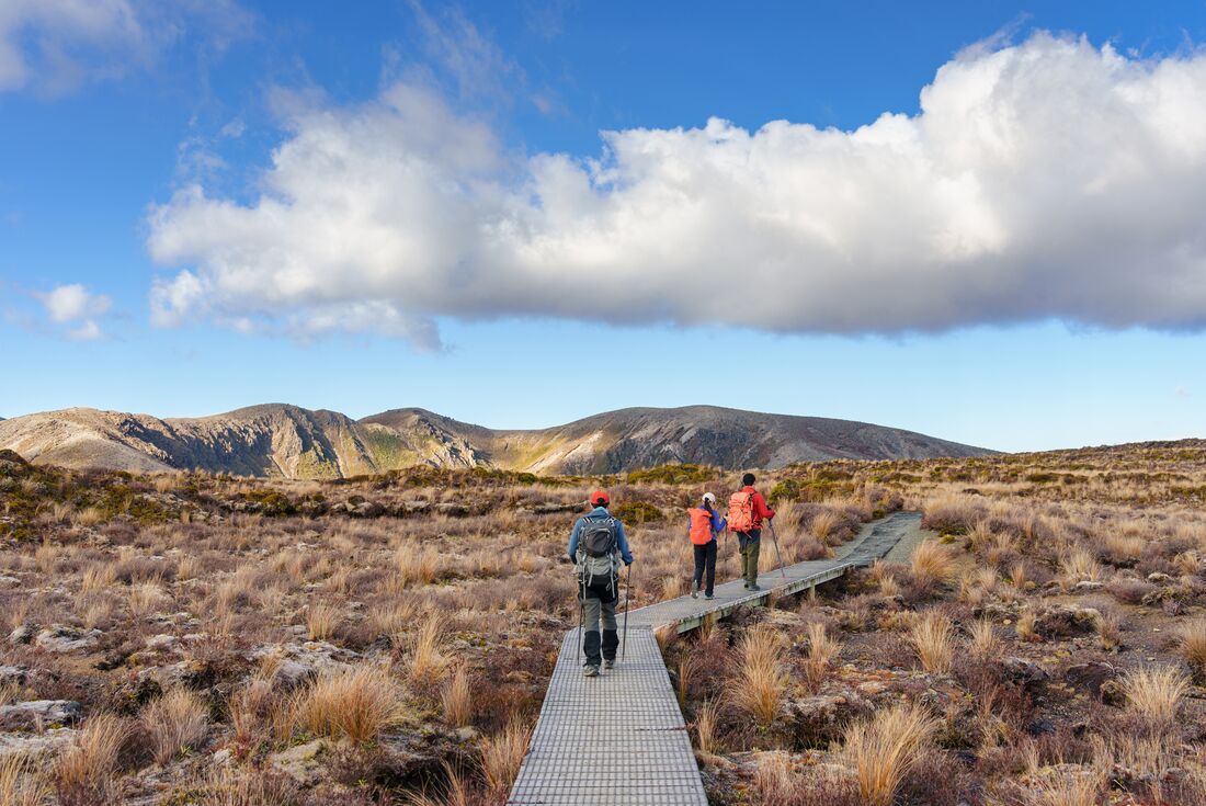 Walk New Zealand's Tongariro Crossing | Intrepid Travel US