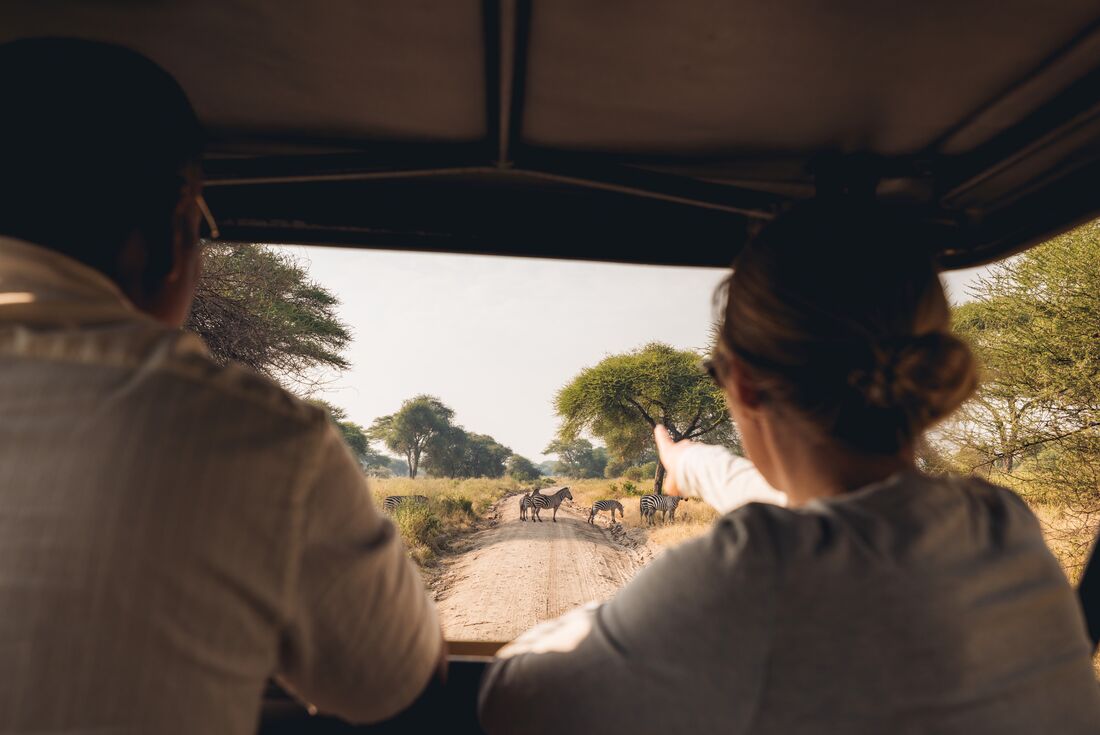 Premium Kenya & Tanzania