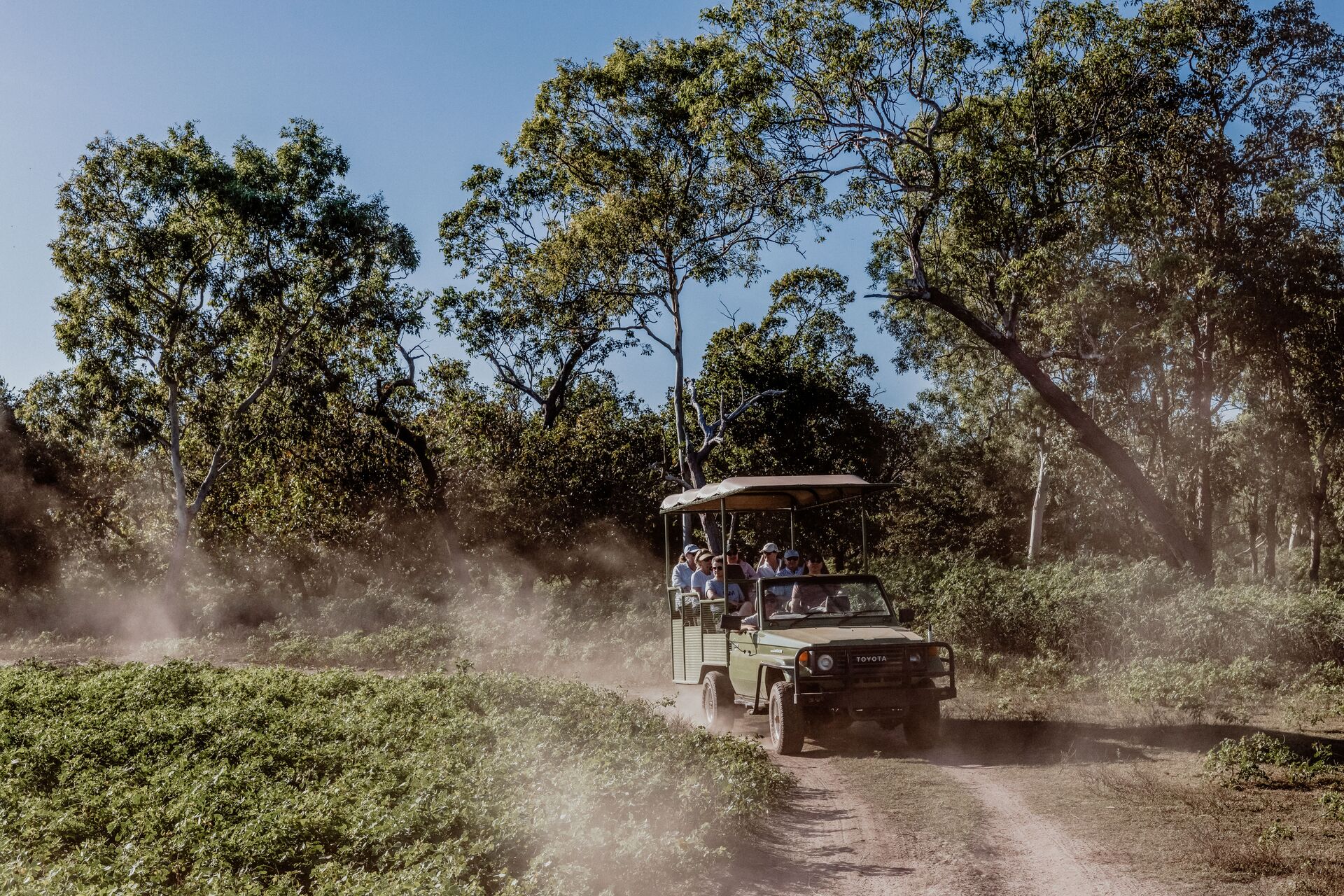 Venture into the bush on a jeep safari to learn more about Top End wildlife