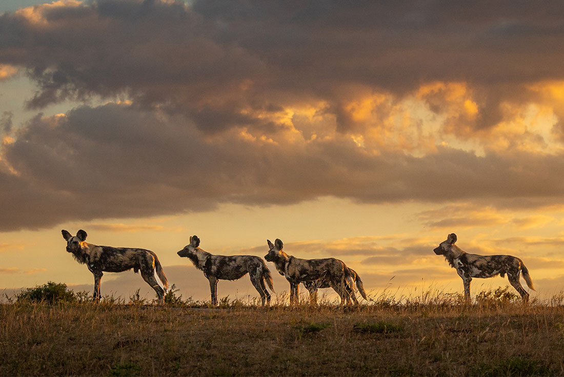 Southern Africa Adventure - 30 Days