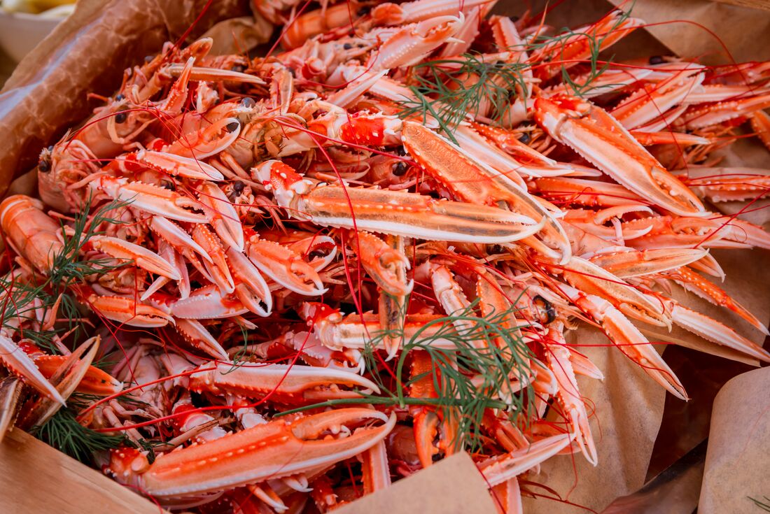 Close shot of fresh cooked Scandinavian lobsters on Vrango Island