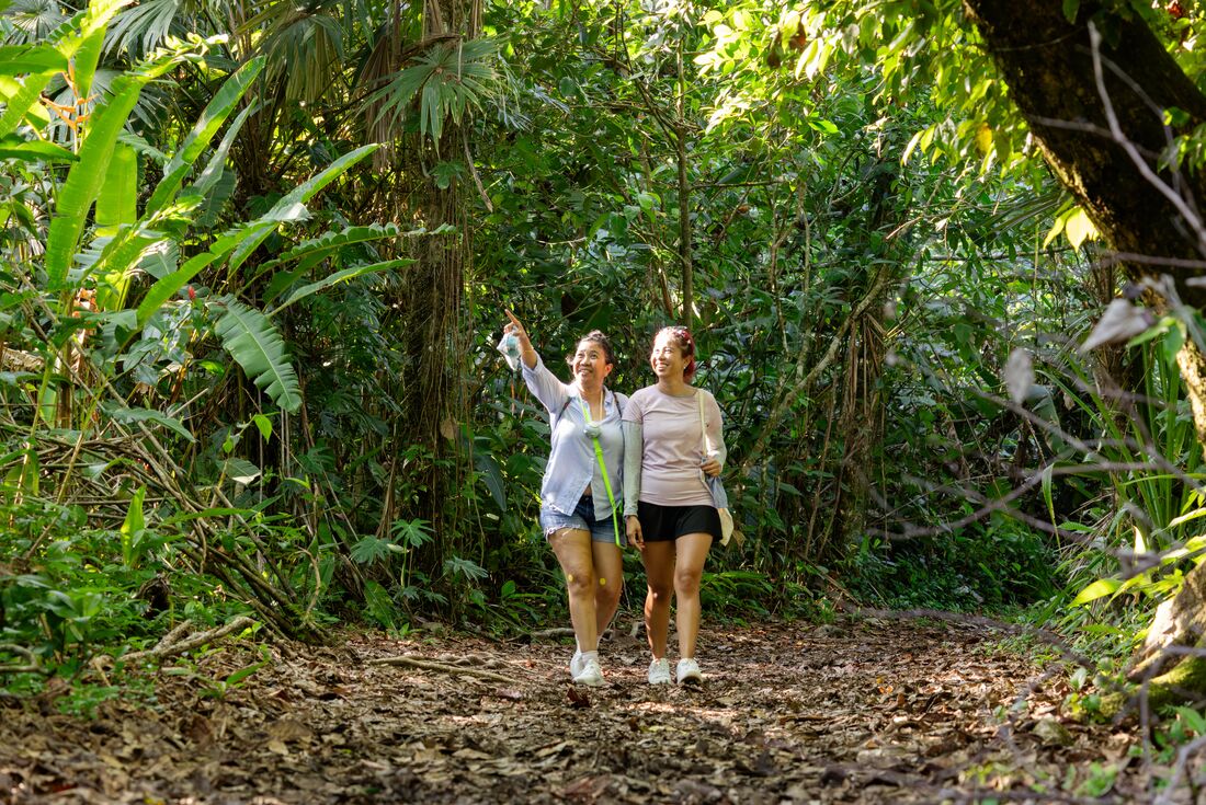 Exploring the jungles of Costa Rica