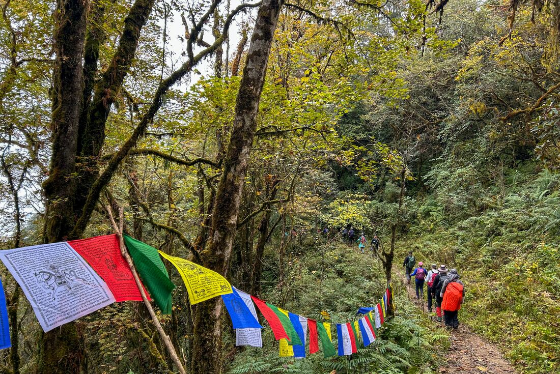 Hike the pictureseque mountainous Trans Bhutan Trail