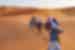 Intrepid travellers enjoy camel ride near Erg Chigaga in the Sahara desert at sunset