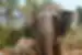 Water droplets spraying on Elephant at Chiang Chill in Chiang Mai, Thailand