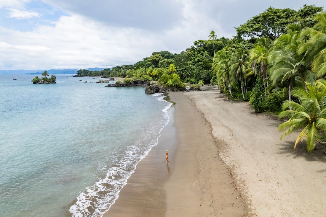 Take in the majesty of rainforest lined beaches in Colombia