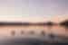 Group of travellers swimming at sunset in the Kimberley, Australia