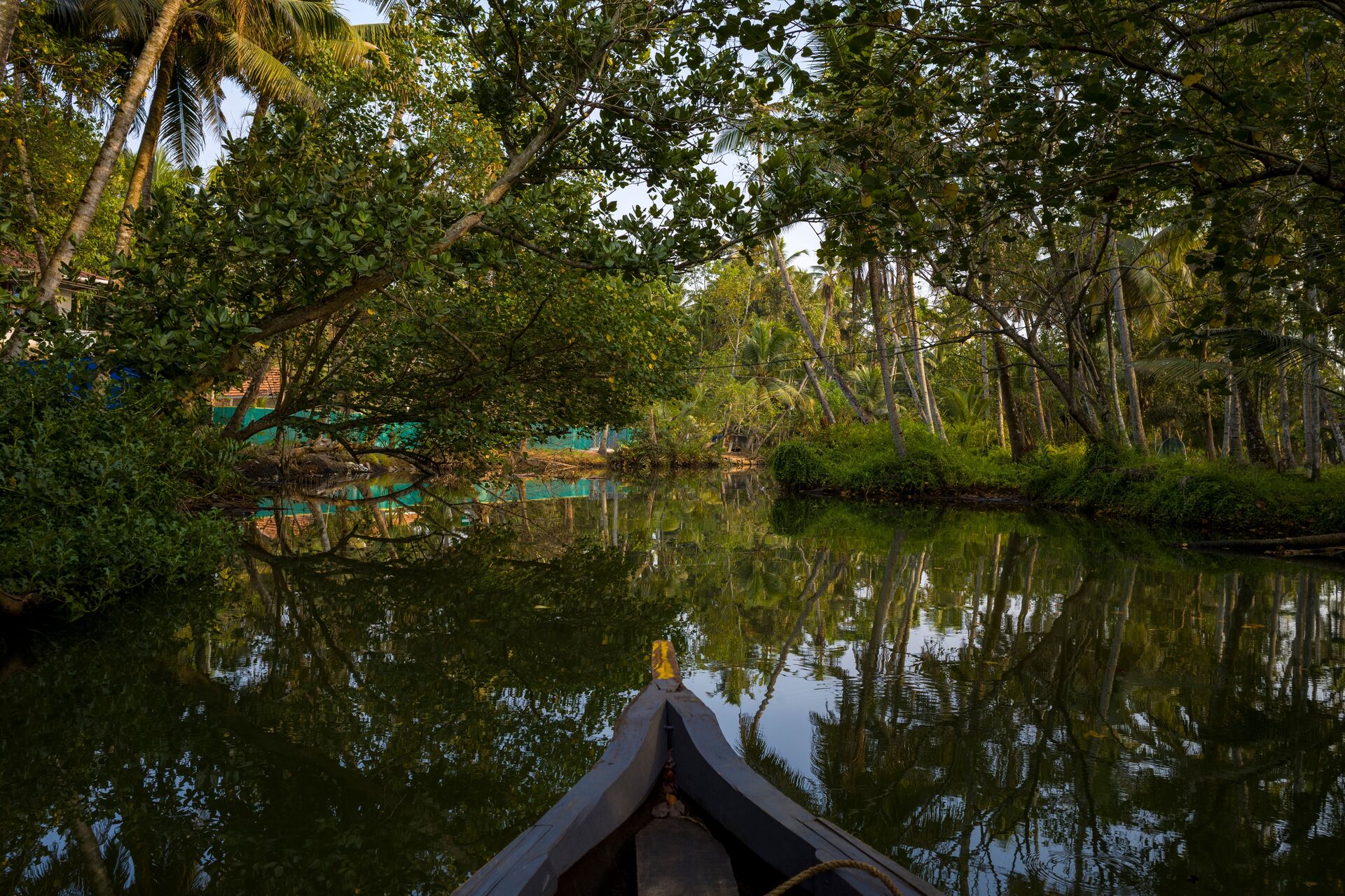 Explore the mangroves and canals of Kerala backwaters on a classic pole boat
