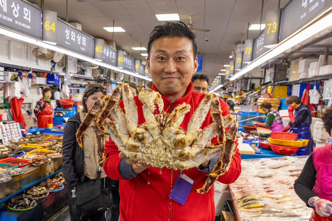 South Korea Food Tour - 8 Days