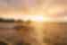 Botswana Chobe River Boat Travellers Sunset