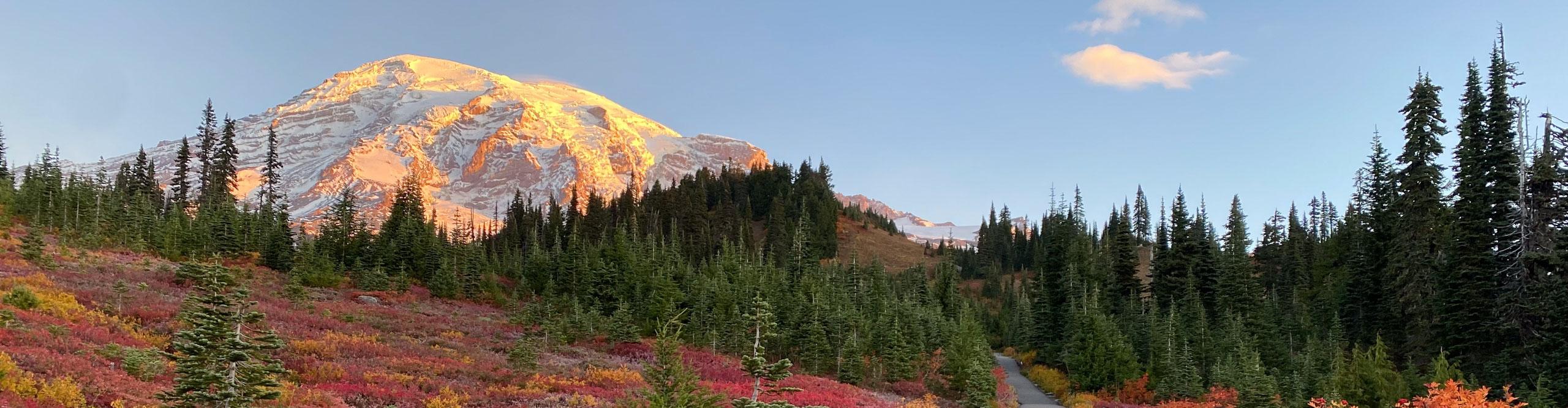 Mt Interepid When is the best time to visit Mount Rainier National Park? | Intrepid ...