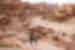Traveller hikes to see rocky view of Petra