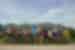 Group of travellers on an Intrepid Travel tour through the Vietnamese countryside.