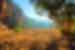 PKKP - Australia_WA_kimberley_windjana-gorge_677231716