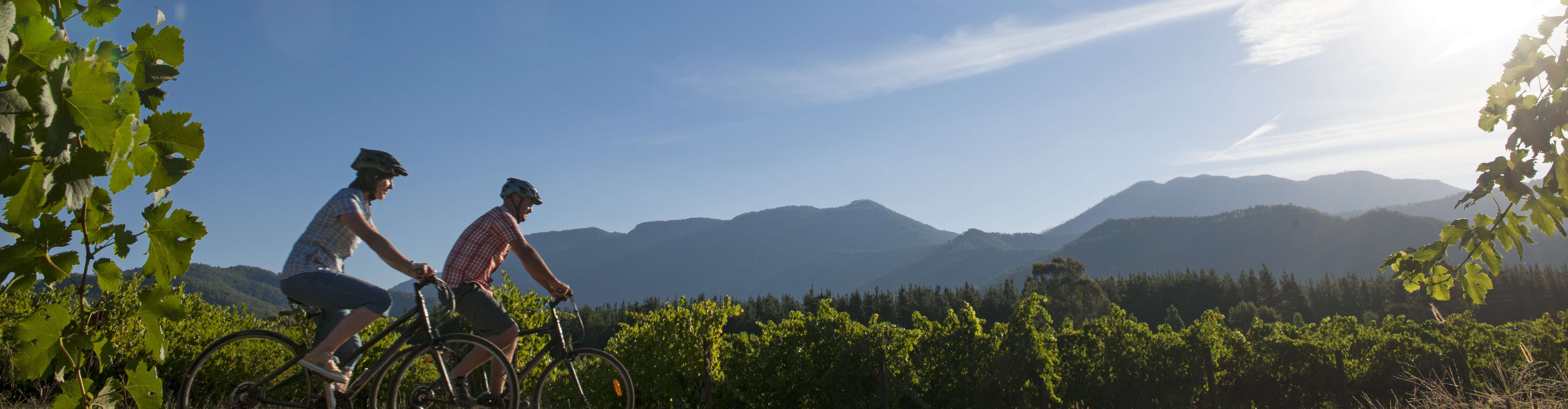 Two cyclists in the Victorian High Country