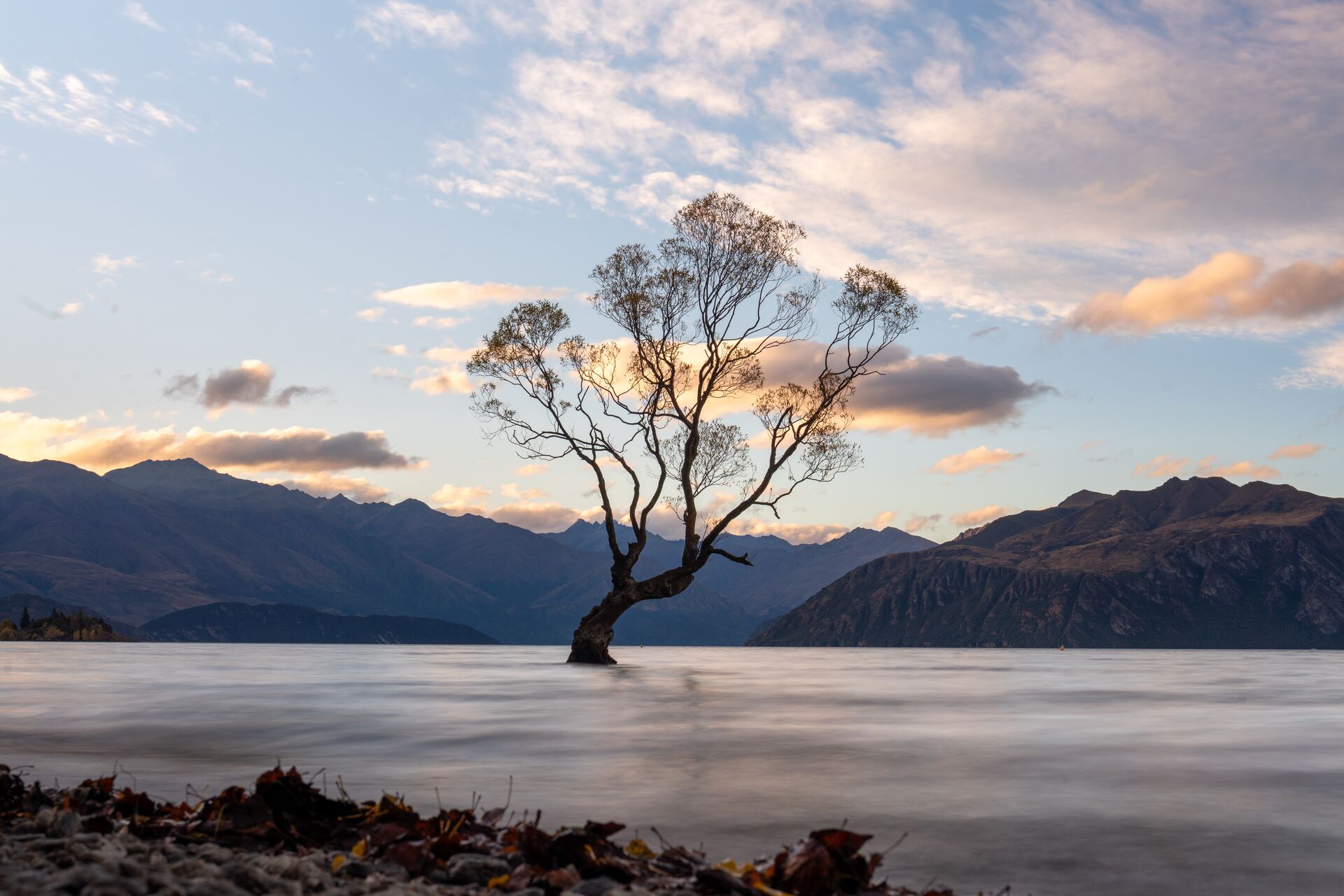 Take in the stunning sunsets at the Wānaka Tree on the Lake