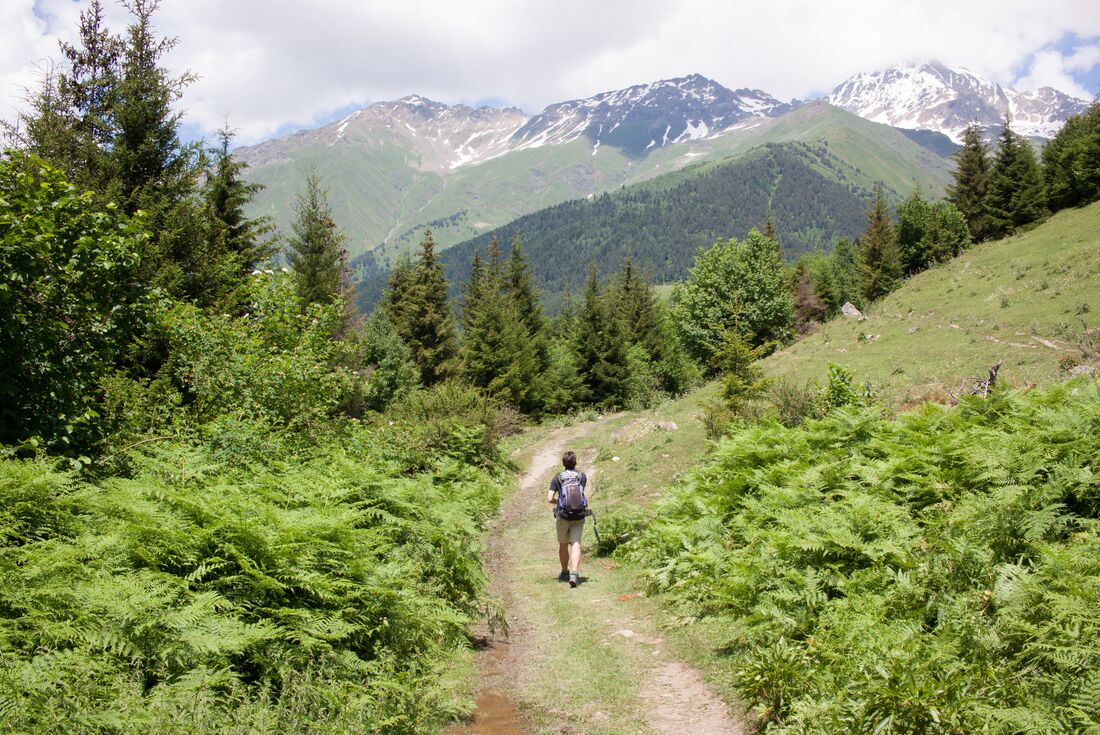 Traveller hiking on the Transcaucasian Trail in Georgia