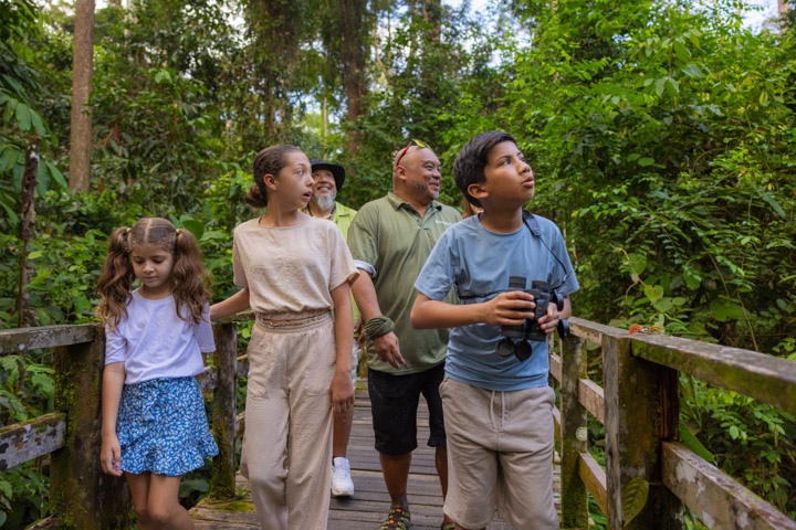 A family walking along a rainforest boardwalk in Sepilok, Borneo