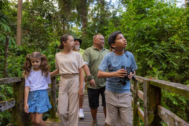 A family walking along a rainforest boardwalk in Sepilok, Borneo