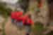 Intrepid porters wave and smile at the camera as they begin hiking the Inca trail