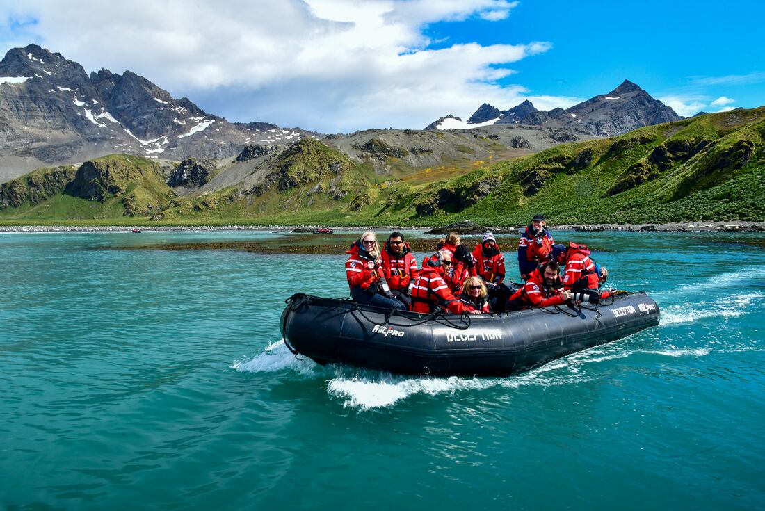 Zodiac cruising around the lush green and tundra waters of Gold Harbour in South Georgia