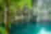 Vines grow down into the blue waters of Yokdzonot cenote surrounded by foliage