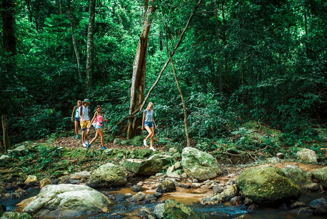 In the rainforests of Phong Nha on the way to Lu Tan Cave