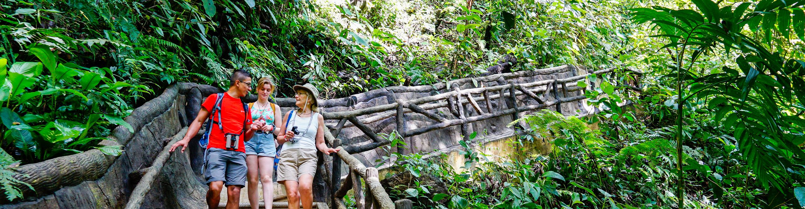 Group walking with Intrepid leader to La Fortuna Waterfall, Costa Rica 