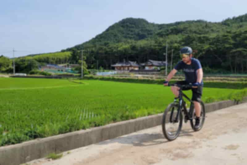 Cycle South Korea | Intrepid Travel