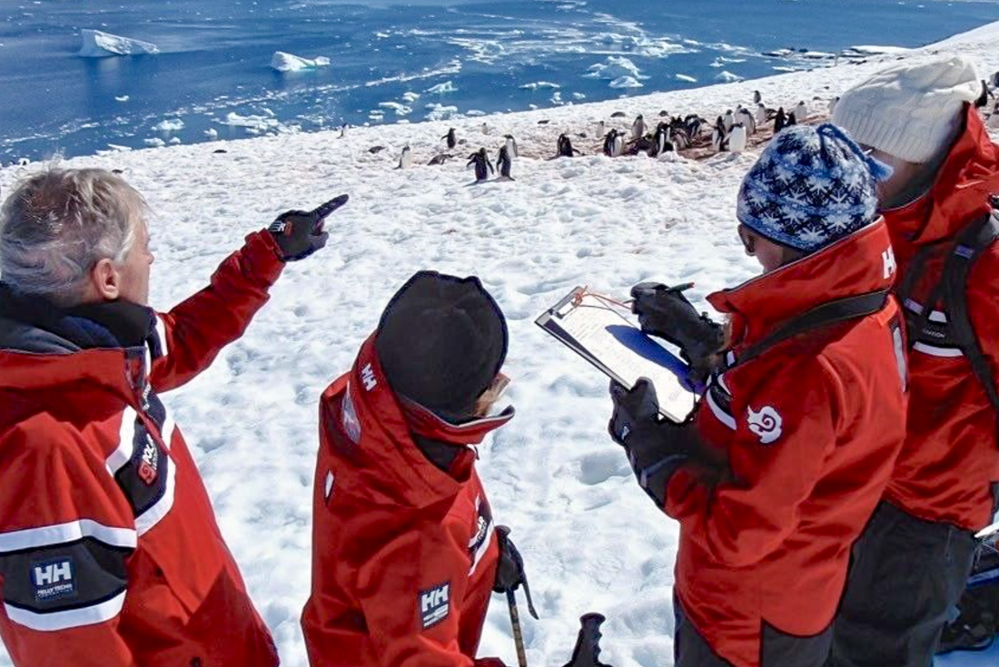 Citizen Science program travellers cataloguing gentoo penguins with clipboard in Antarctica