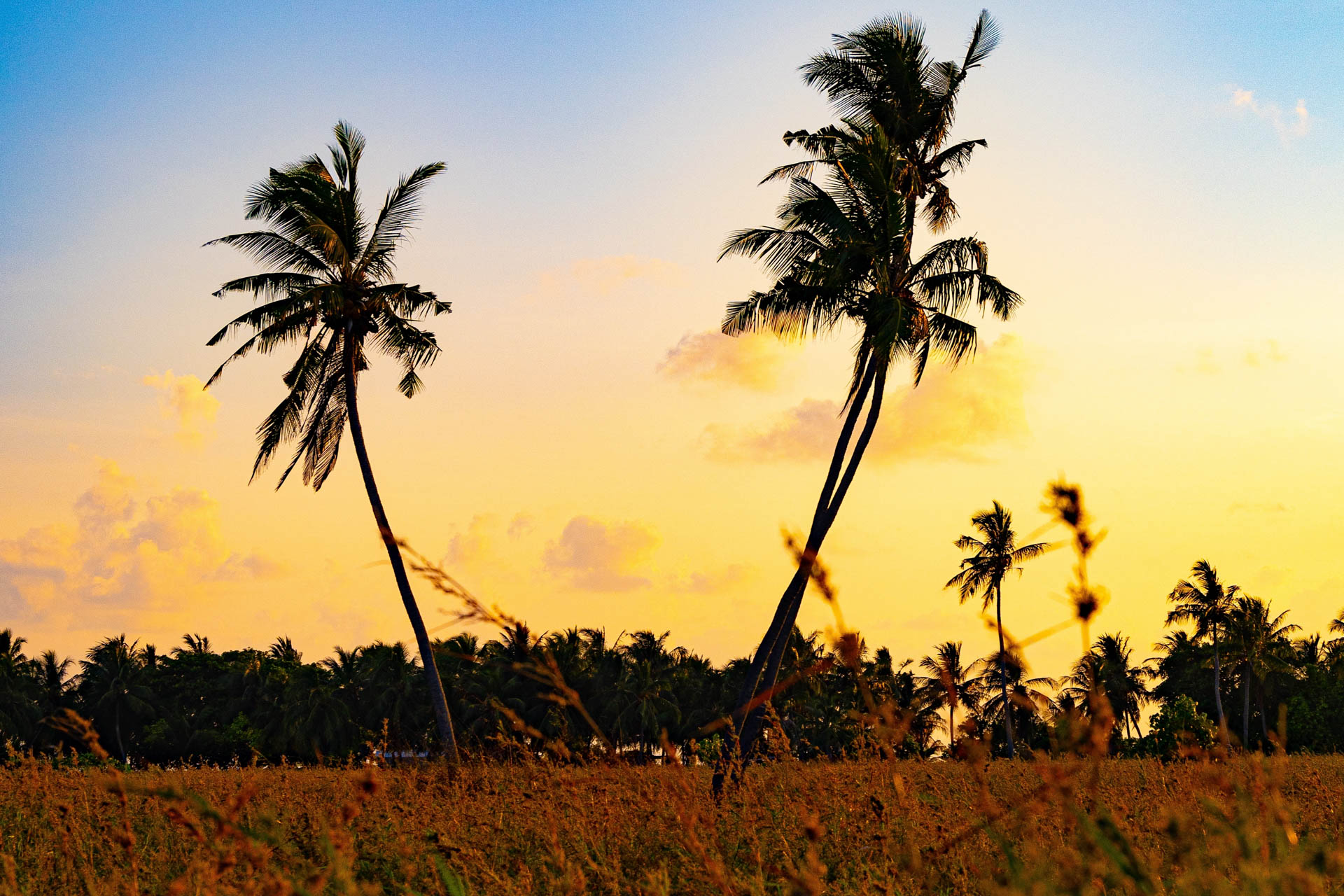 Maldives: Beyond the Beaches