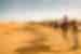 Travellers travel via camel into the Sahara desert