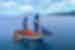 Sea Safari 8 boat sailing