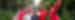Large group takes selfie in jungle