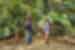 Tourists standing beneath the ferns in Giant Fern Park, New Caledonia