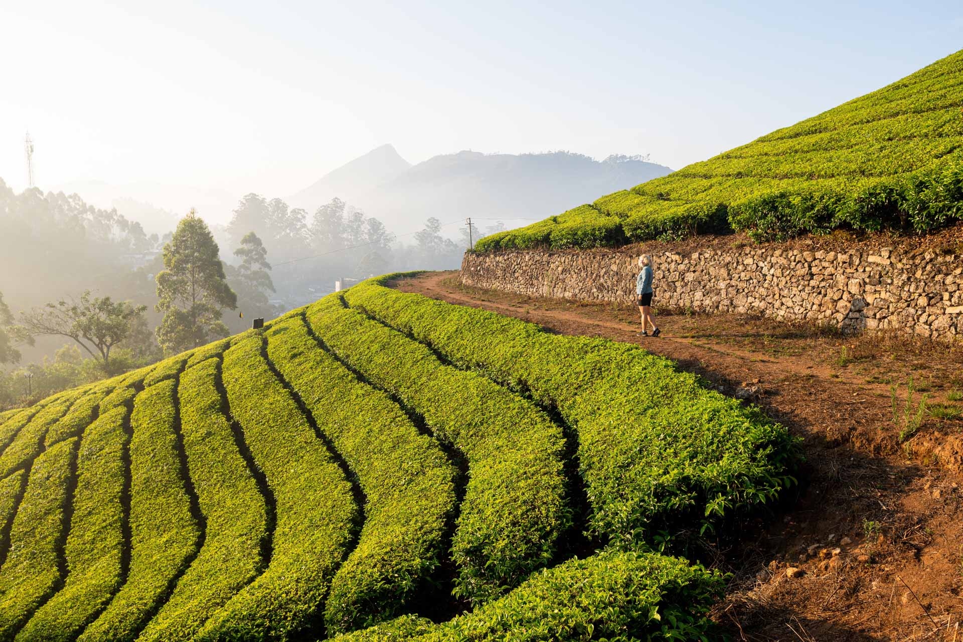 On a Periyar spice plantation in Kerala
