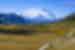 Aerial view of road leading up to Denali National Park, Alaska, U.S.A.