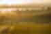 PVOSB_new-south-wales_hunter-valley_vineyard