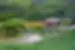 Ritsurin Garden in Takamatsu, Shikoku, Japan