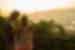 PVOS_queensland_noosa-heads_sunset_travellers