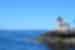 SSXJ - Lime Kiln Lighthouse - San Juan Islands