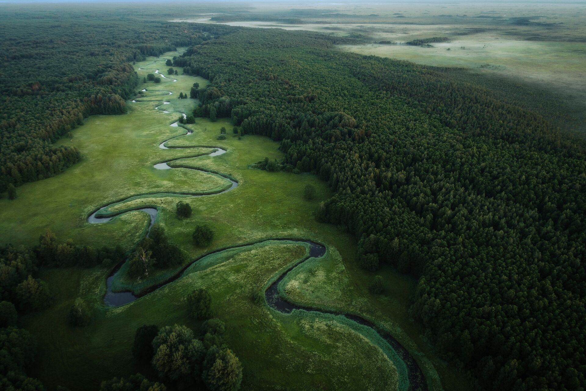 The famous winding rivers of Soomaa National park's marshlands