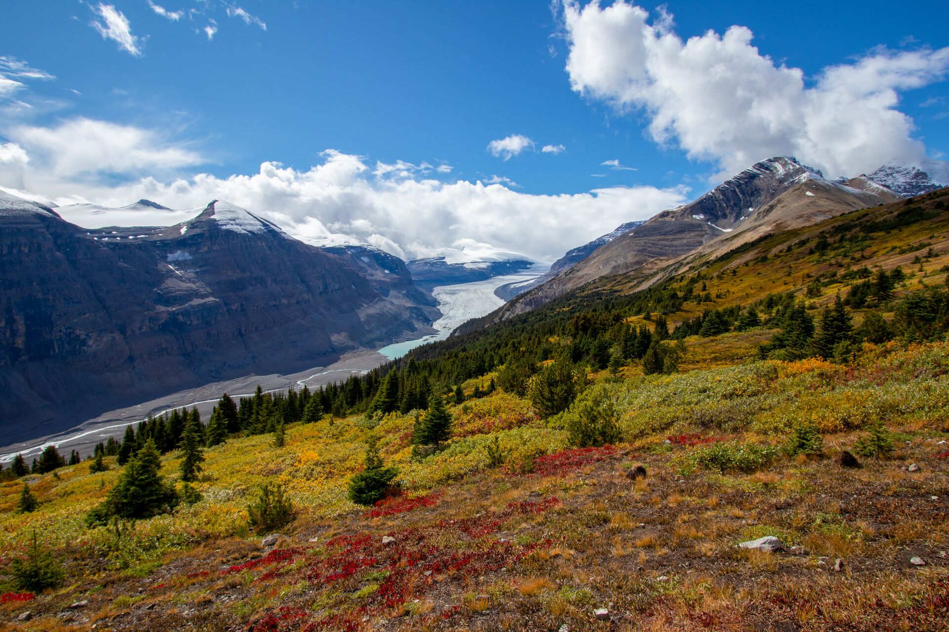 View of the Saskatchewan Glacier from the Parker Ridge Trail in Banff National Park