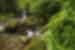 Intrepid Travel costa rica waterfall nature environment forest