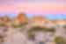 The Mojave Desert during golden hour with pink skies in Joshua Tree NP, California, U.S.A.