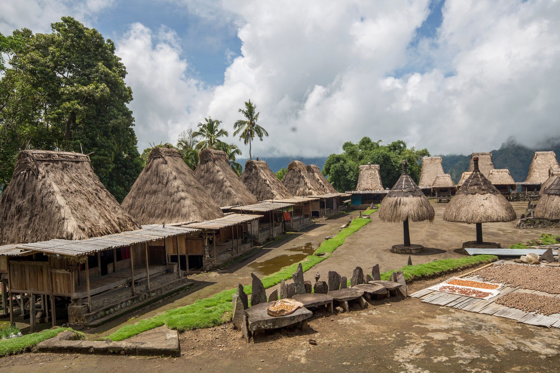 Flores Island's Tololela traditional village