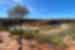 Landscape at Kalbarri NP, Western Australia