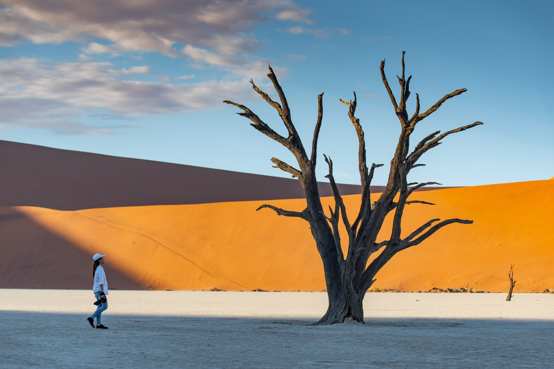 In awe of the still life of Deadvlei, in the deep desert of Namibia