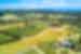 Aerial view of Waiheke Island vineyards, North Island, NZ