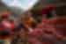 Intrepid travellers enjoy a dance with women of the Huilloc Community in Sacred Valley